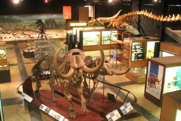 Regional Museum of Natural History Mysore