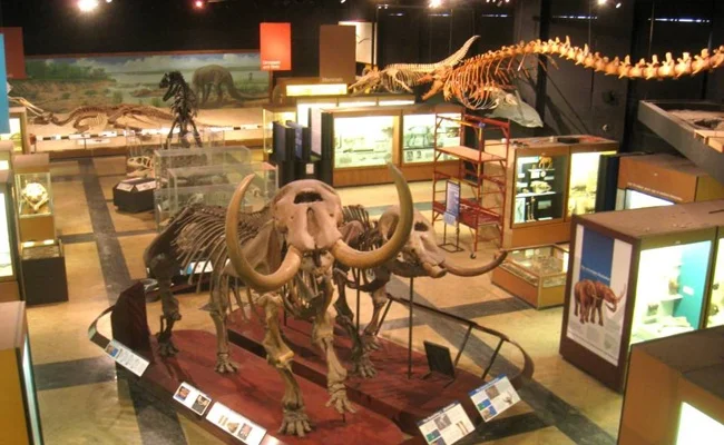 Regional Museum of Natural History Mysore