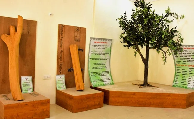 Sandalwood Museum Mysore