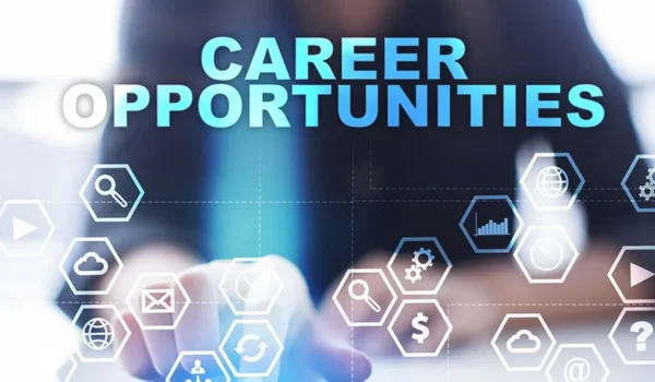 Career Options After Graduation